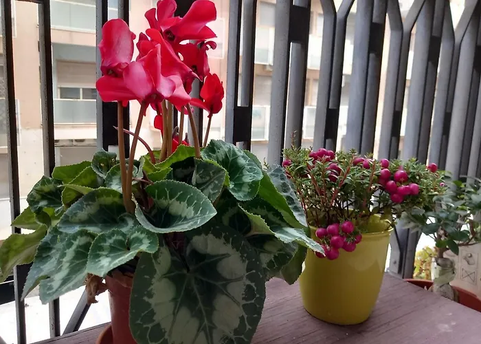 Bed and Breakfast La valigia sul letto Catania